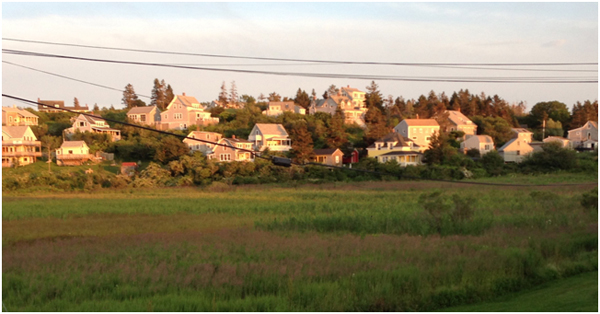 monhegan marsh photo